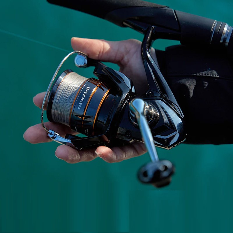 Shimano 2026 NEXAVE Spinning R - đánh giá và giá Daiwa Reel Fuego
